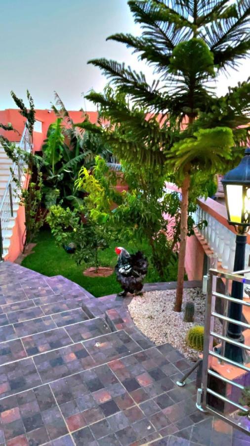 Riad Dar Salam Ξενοδοχείο Αγκαντίρ Εξωτερικό φωτογραφία